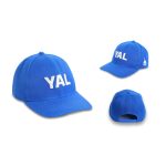 کلاه بیسبالی - آبی